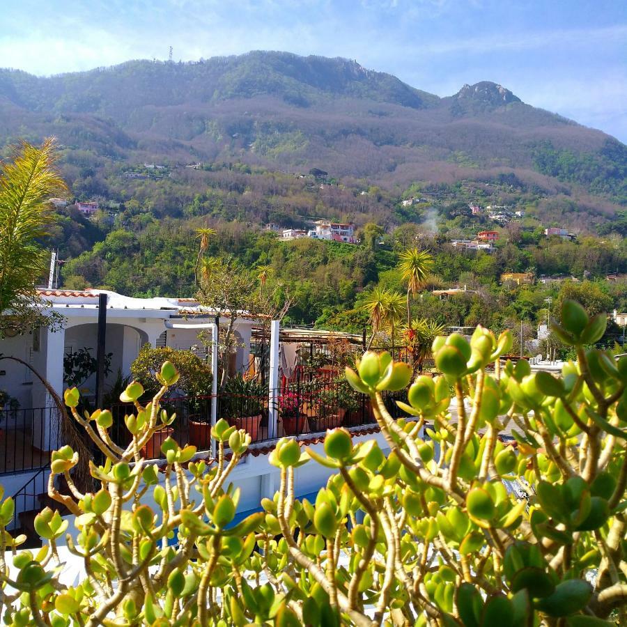 Hotel La Maggioressa Casamicciola Terme Екстериор снимка